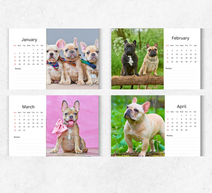 French Bulldog Desk Calendar 2026-2027