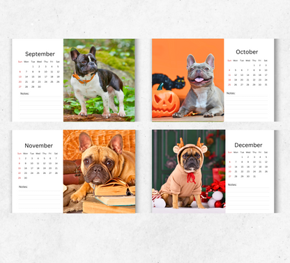 French Bulldog Desk Calendar 2026-2027