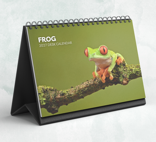 Frog Desk Calendar 2027-2028