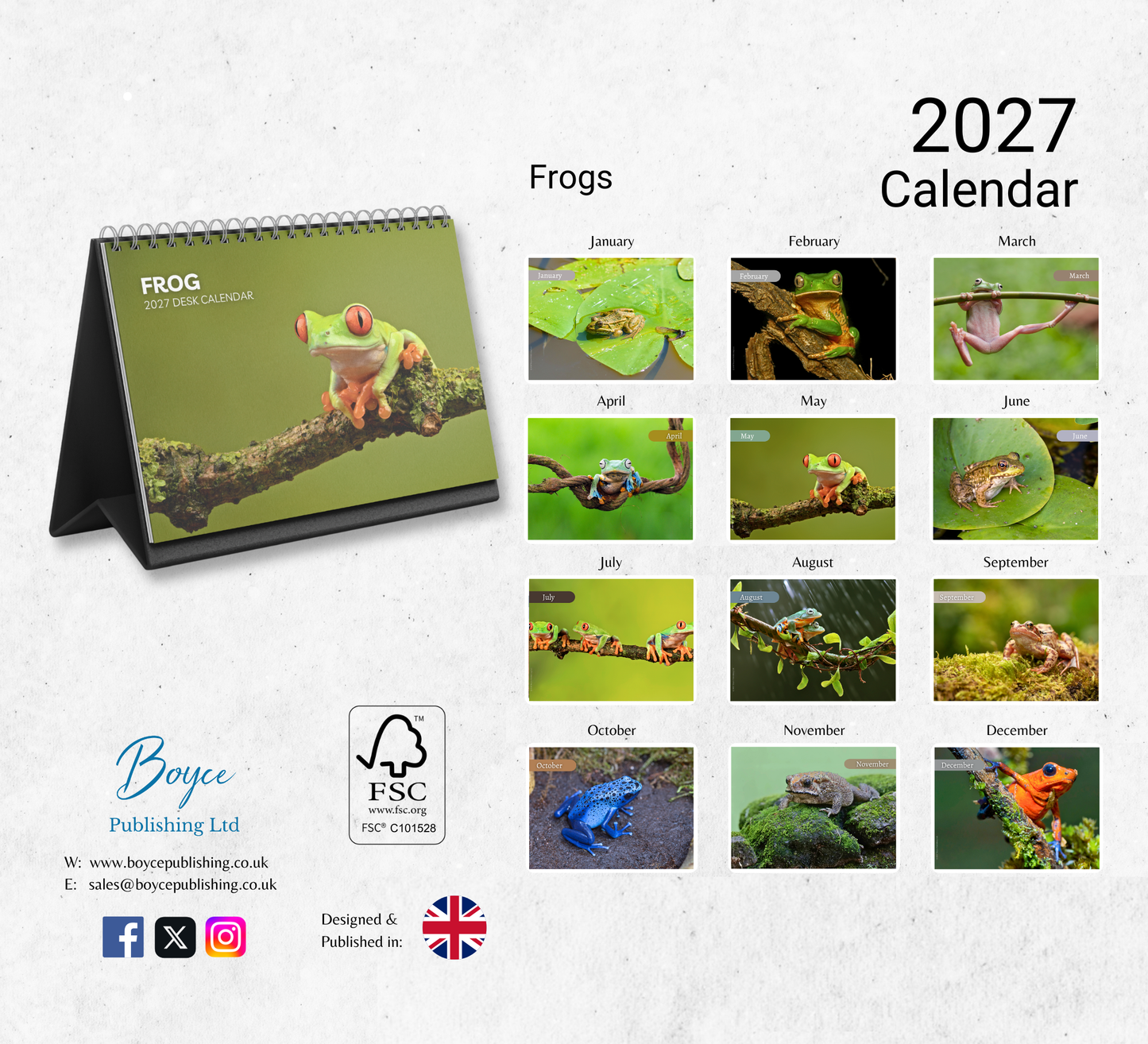 Frog Desk Calendar 2027-2028