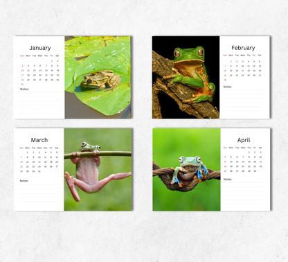 Frog Desk Calendar 2027-2028