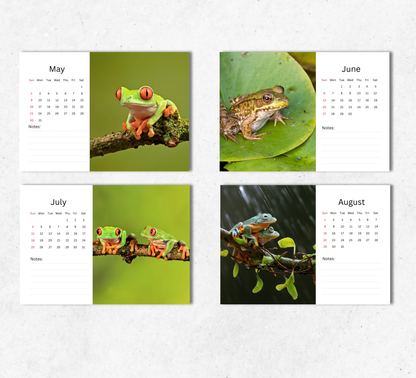 Frog Desk Calendar 2027-2028