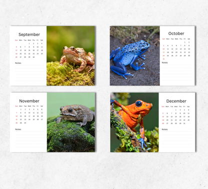 Frog Desk Calendar 2027-2028
