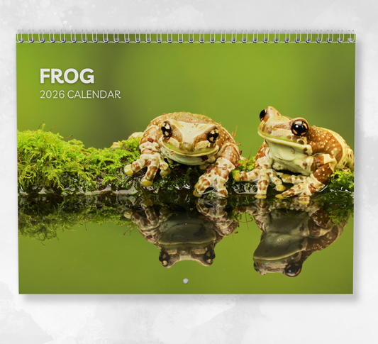 Frog Calendar 2026