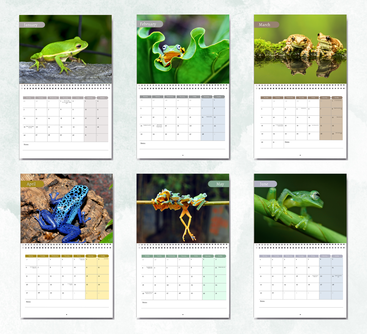 Frog Calendar 2026