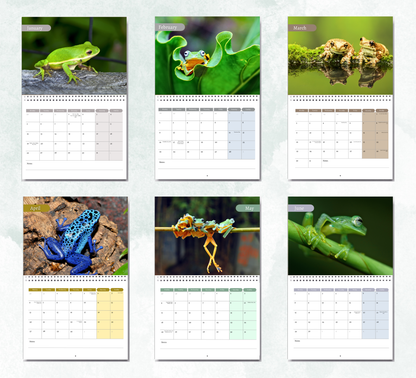 Frog Calendar 2026