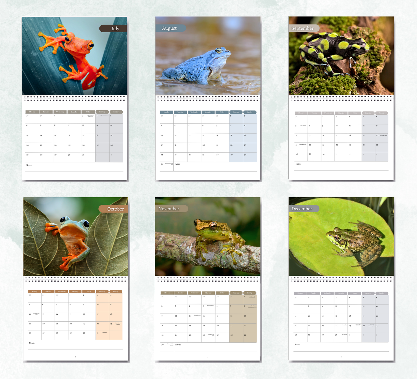 Frog Calendar 2026