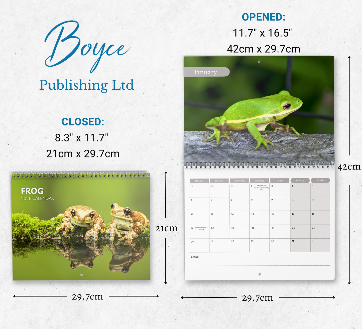 Frog Calendar 2026