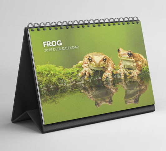 Frog Desk Calendar 2026-2027