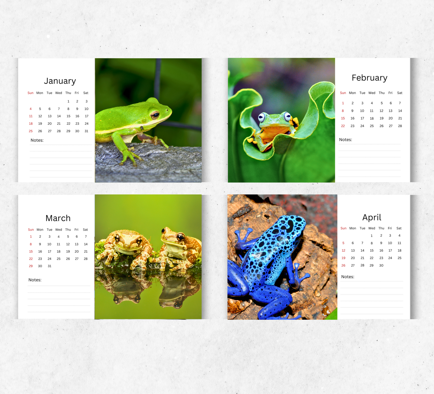 Frog Desk Calendar 2026-2027
