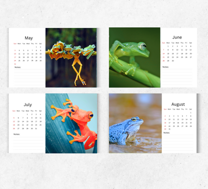 Frog Desk Calendar 2026-2027