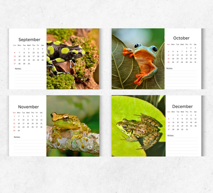 Frog Desk Calendar 2026-2027