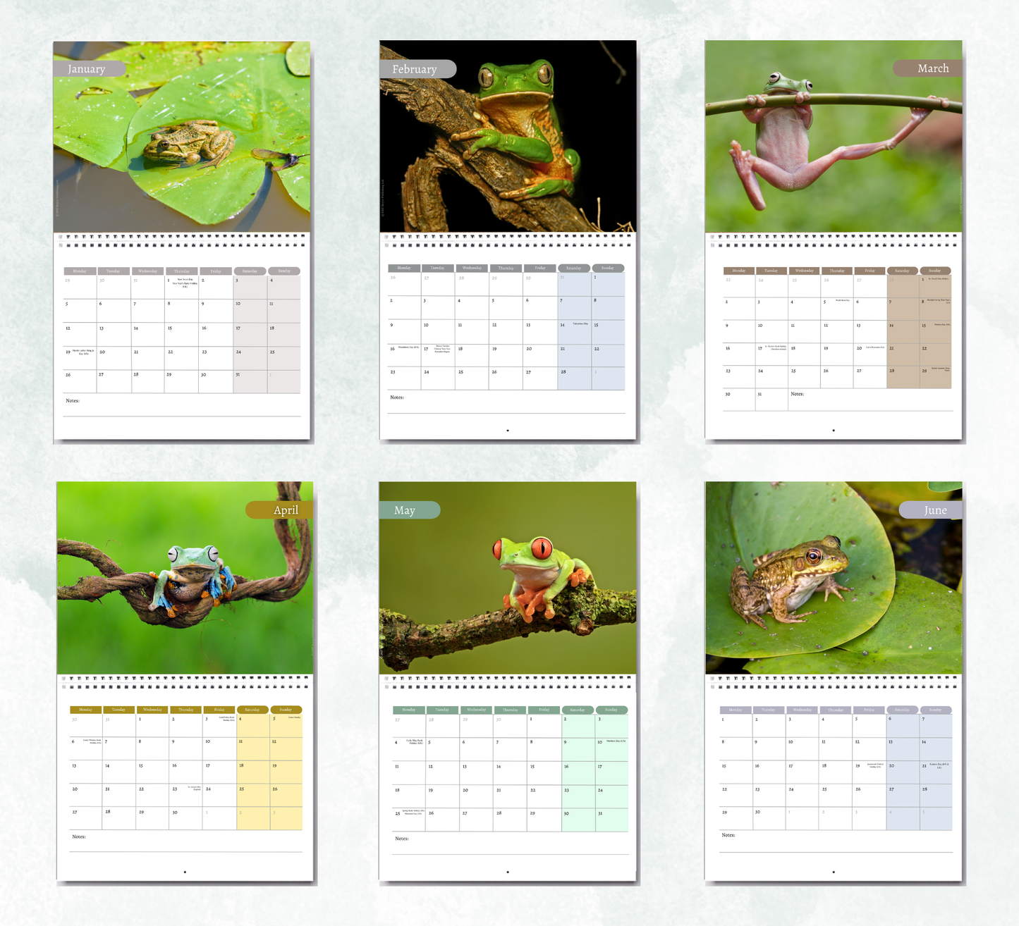 Frog Calendar 2027
