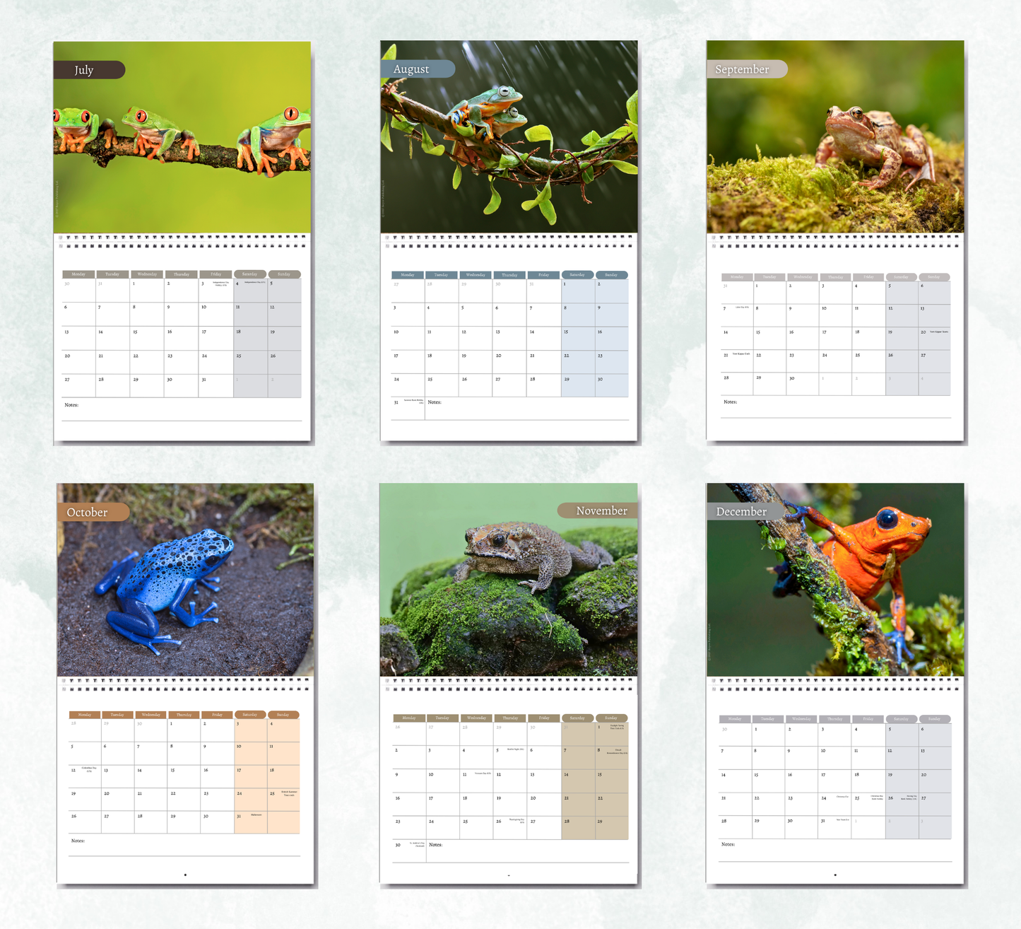 Frog Calendar 2027