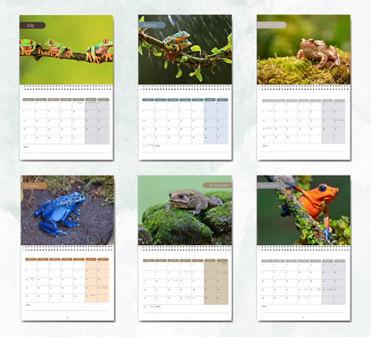 Frog Calendar 2027