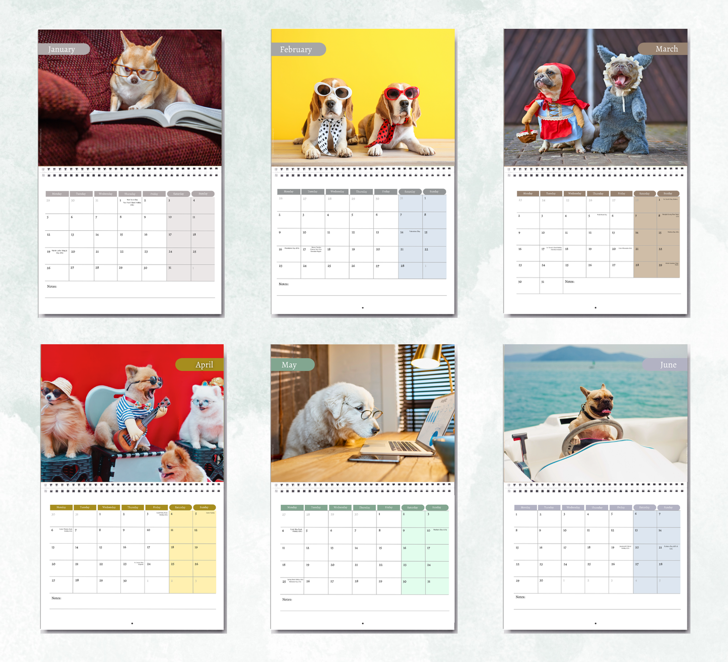 Fun Dogs Calendar 2027