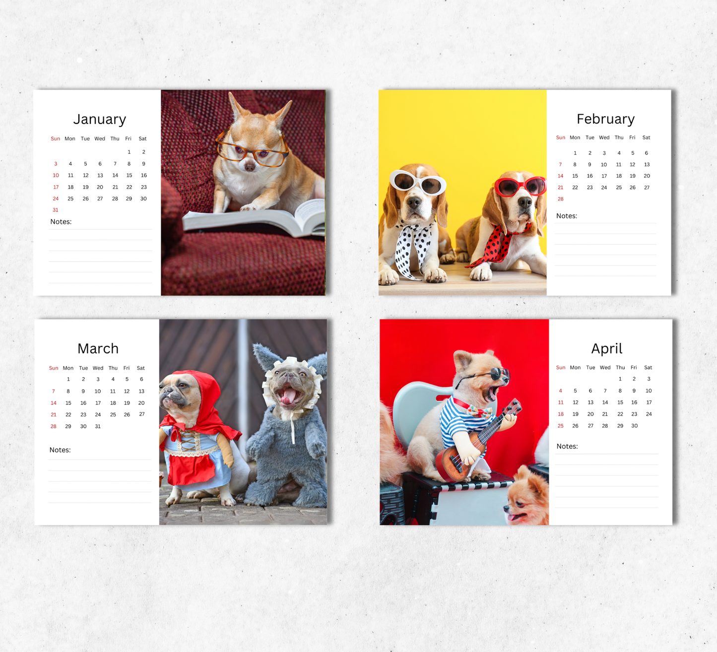 Fun Dogs Desk Calendar 2027-2028