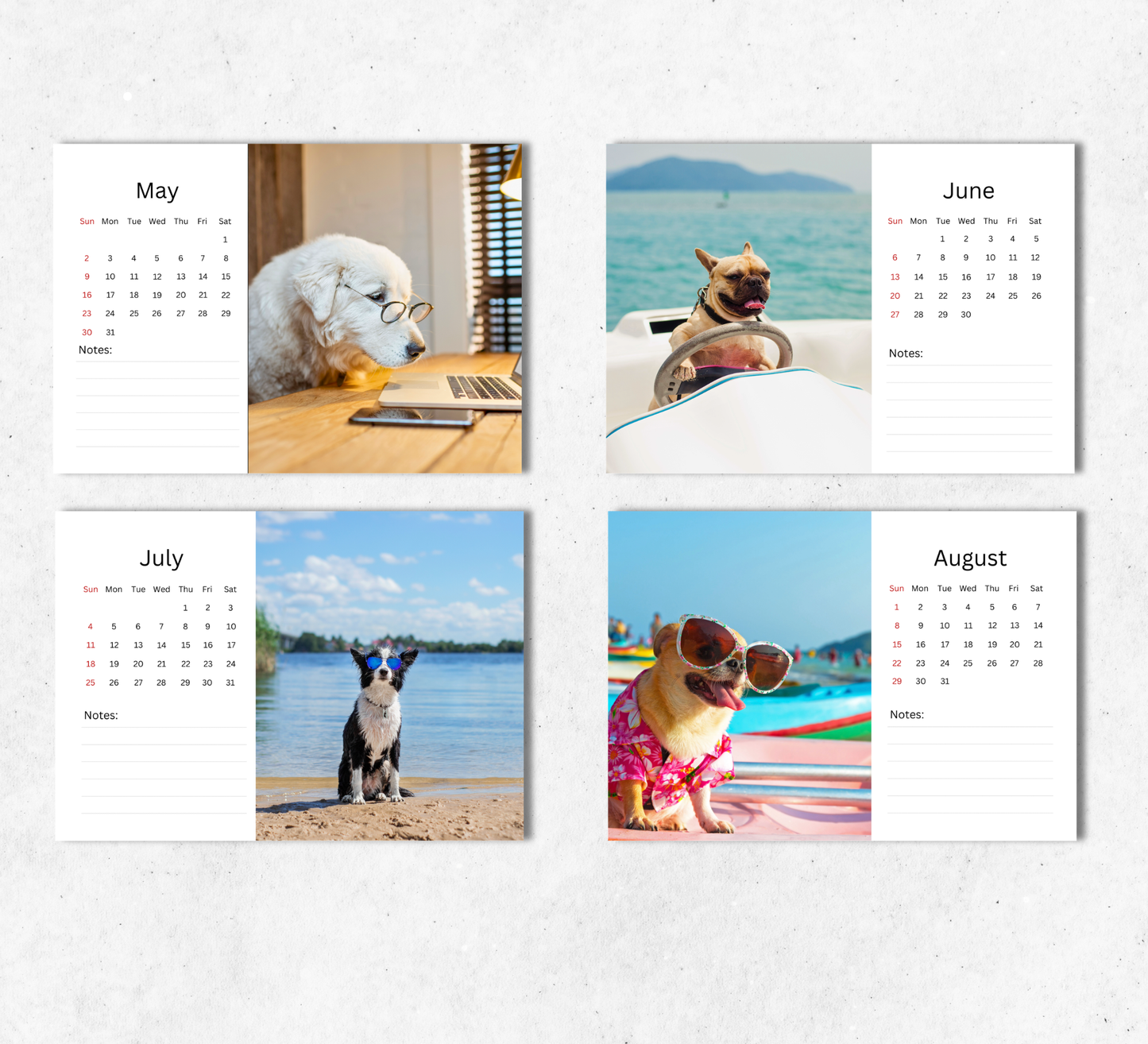 Fun Dogs Desk Calendar 2027-2028