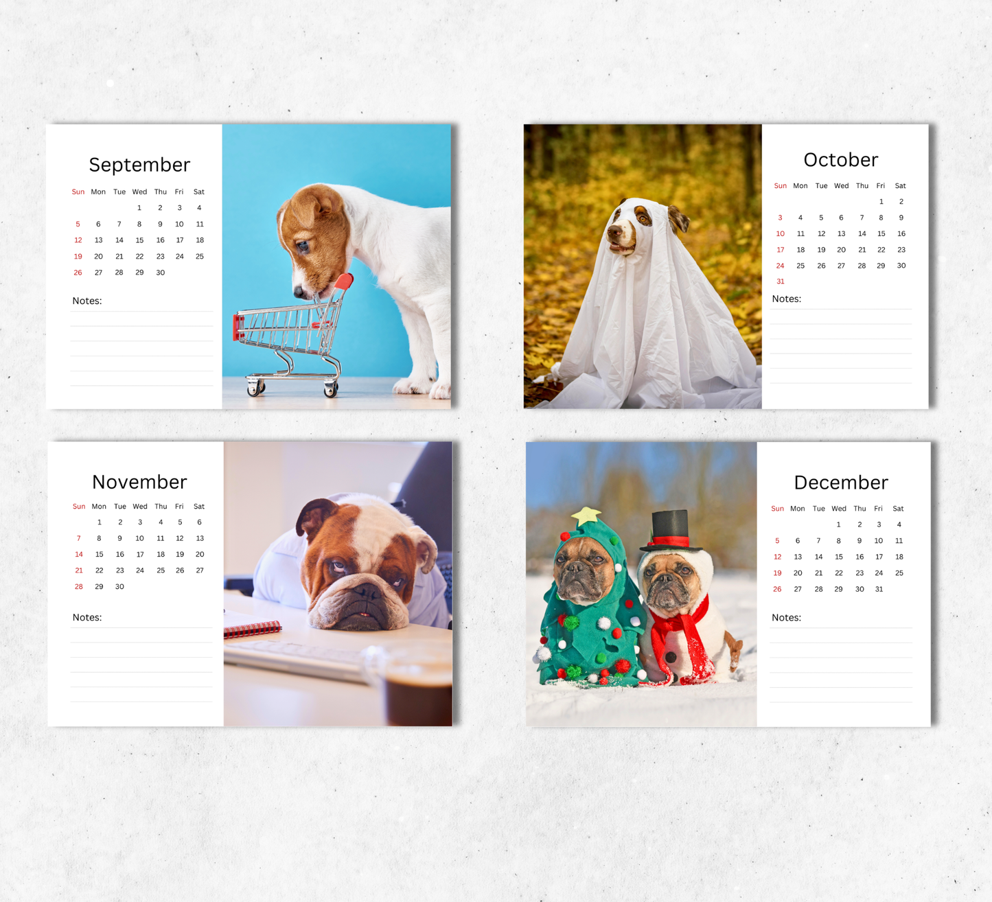 Fun Dogs Desk Calendar 2027-2028