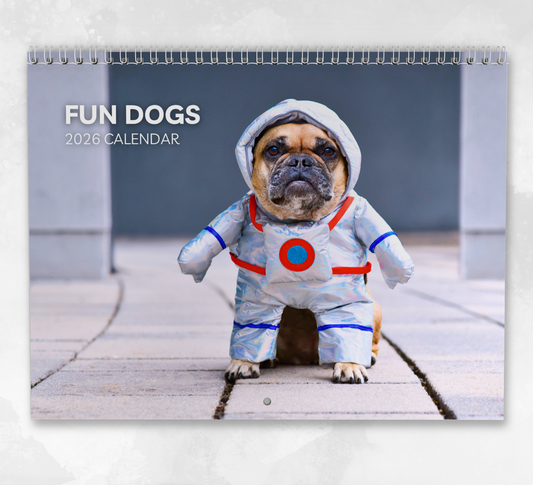 Fun Dog Calendar 2026