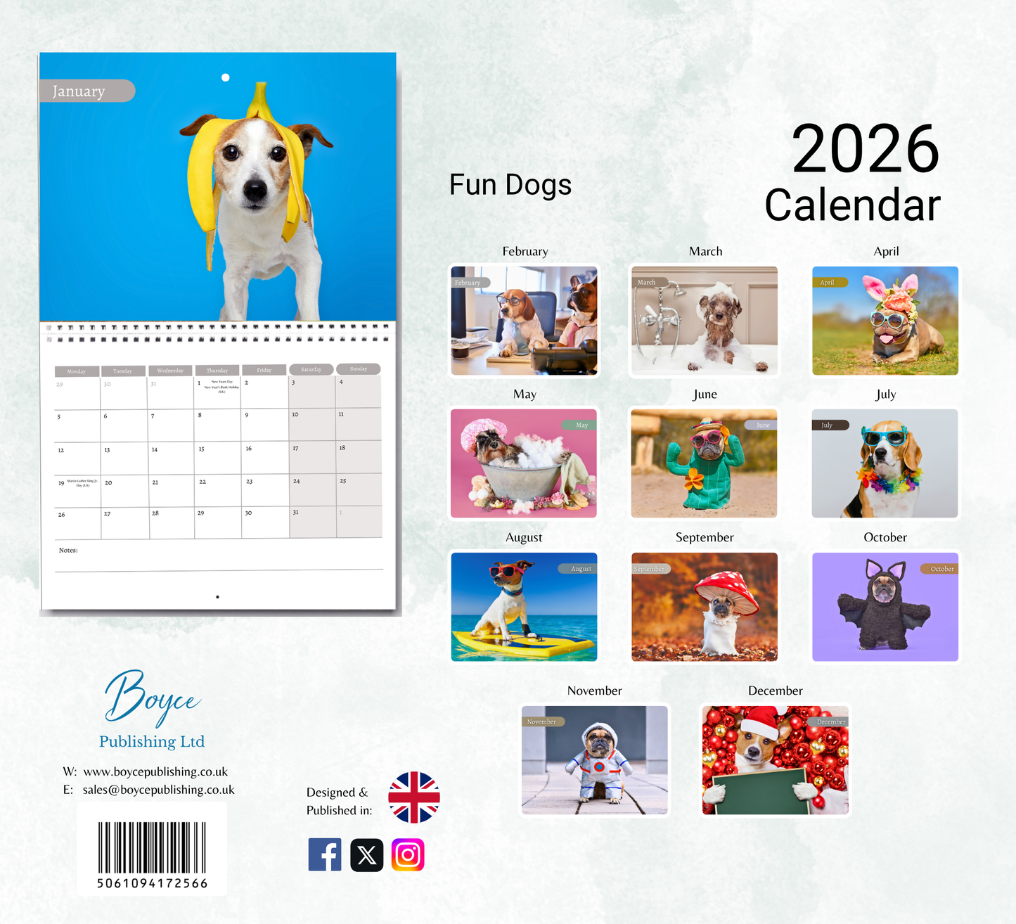 Fun Dog Calendar 2026