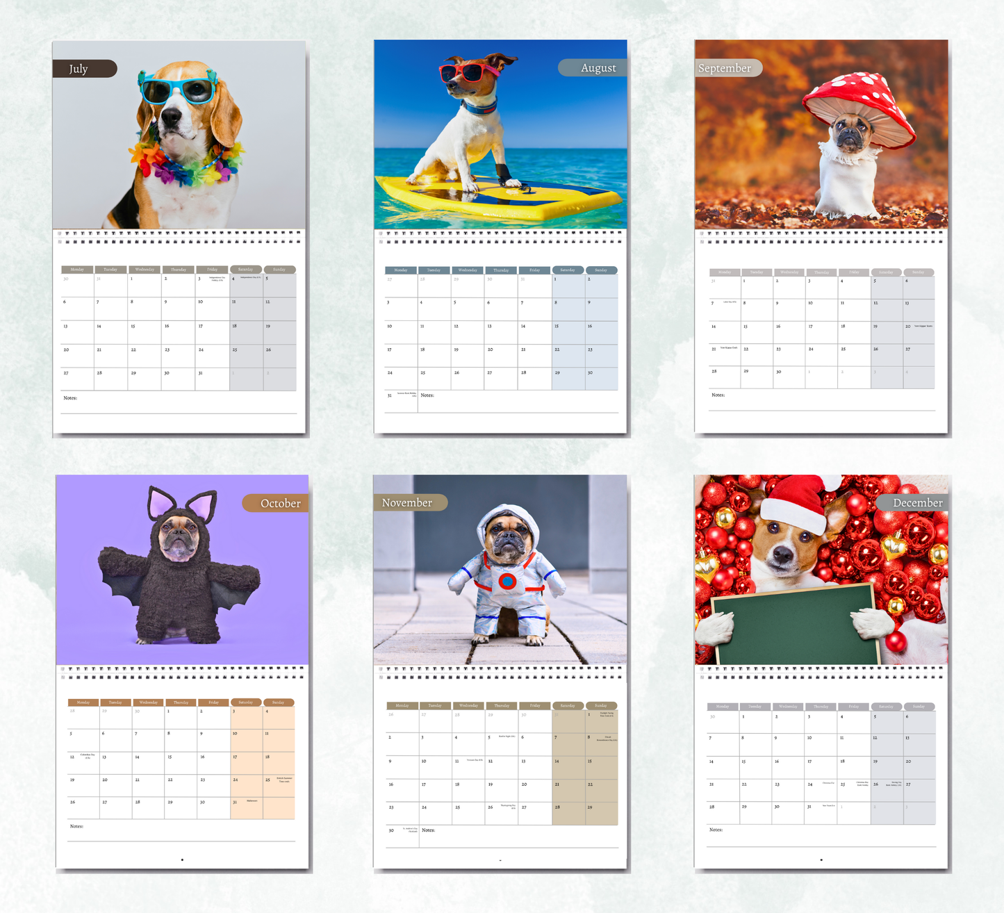 Fun Dog Calendar 2026