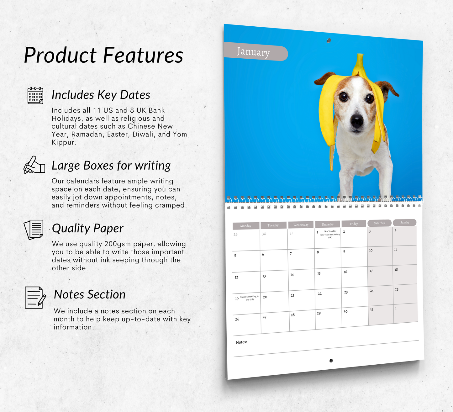 Fun Dog Calendar 2026