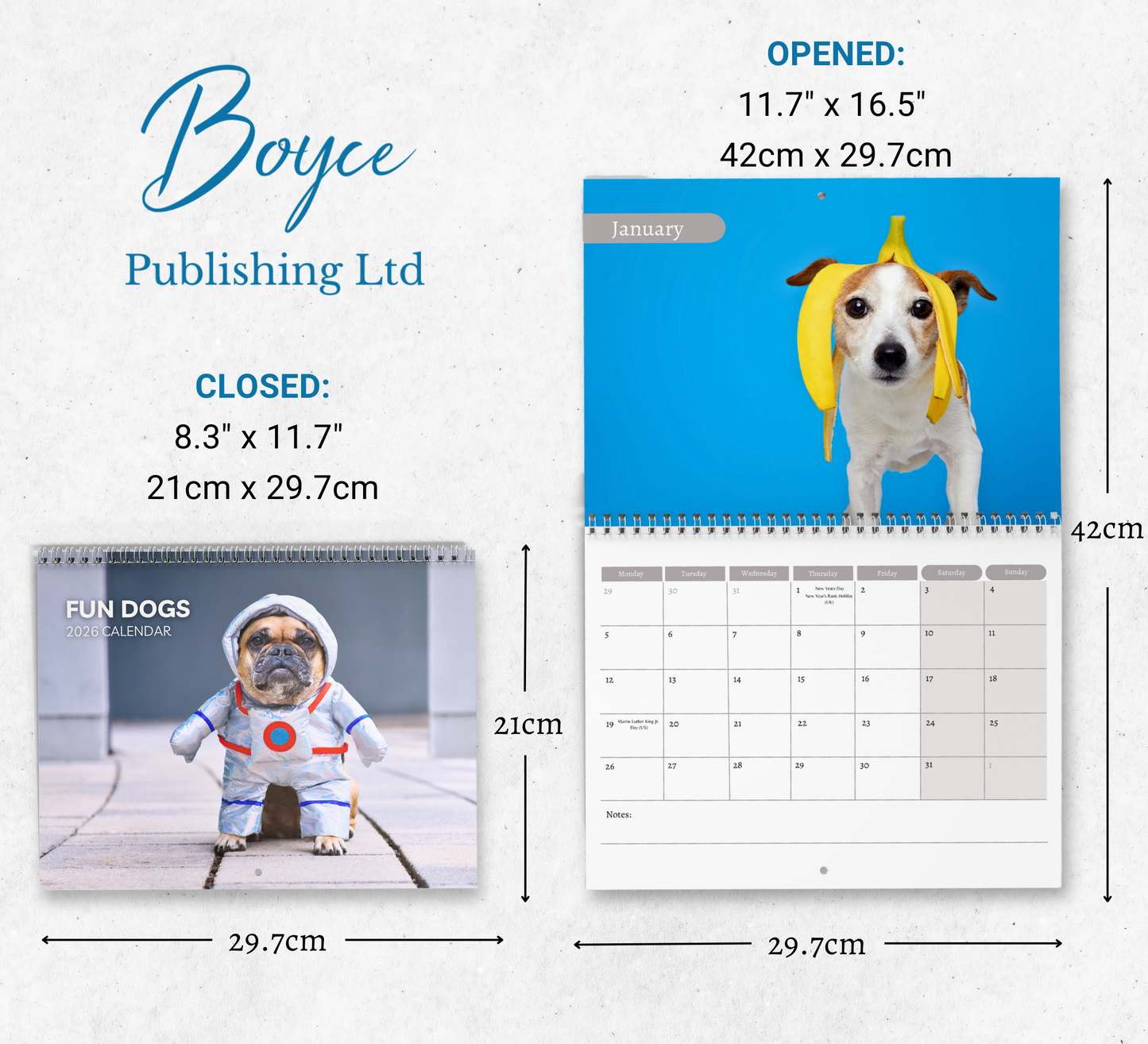 Fun Dog Calendar 2026