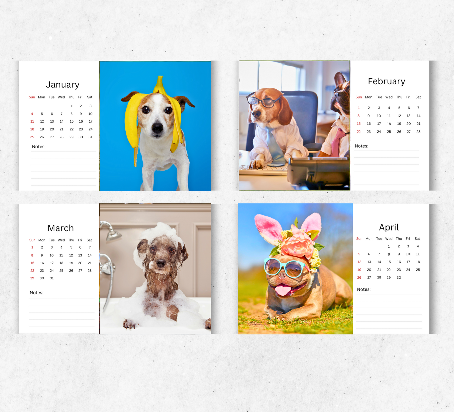 Fun Dog Desk Calendar 2026-2027