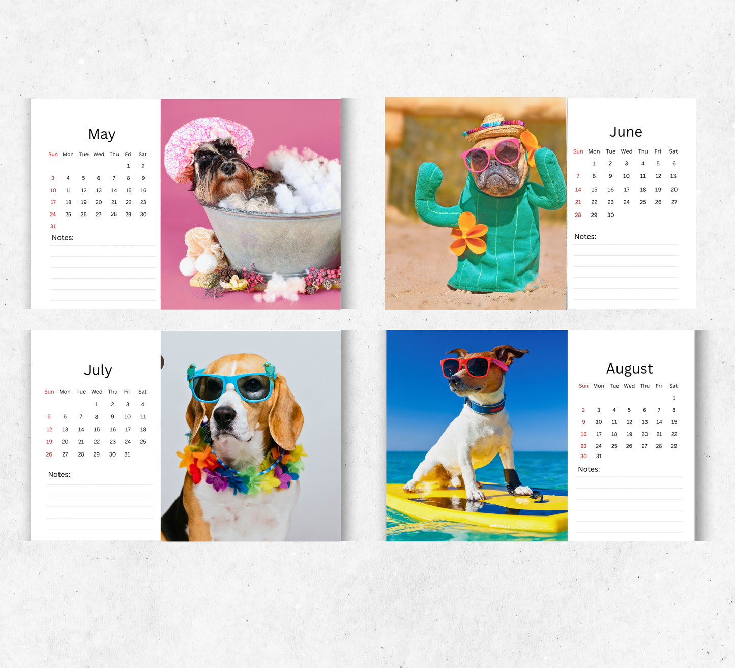 Fun Dog Desk Calendar 2026-2027