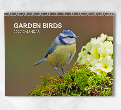 Garden Birds Calendar 2027
