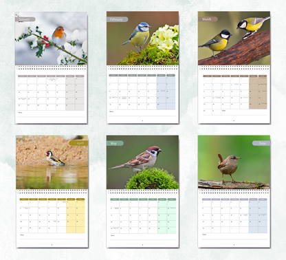 Garden Birds Calendar 2027
