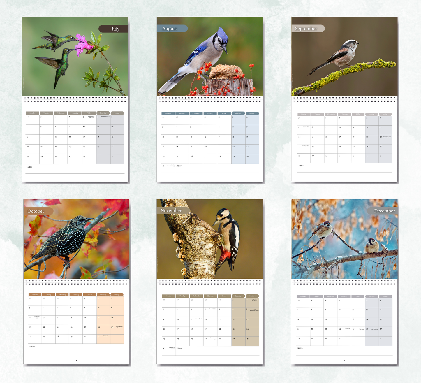Garden Birds Calendar 2027