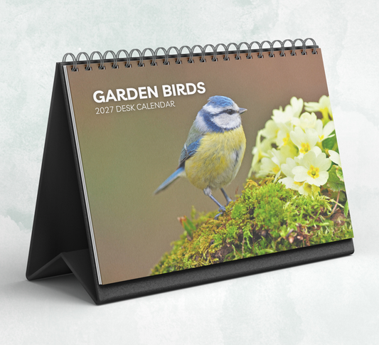 Garden Birds Desk Calendar 2027-2028