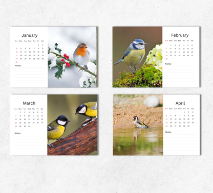 Garden Birds Desk Calendar 2027-2028