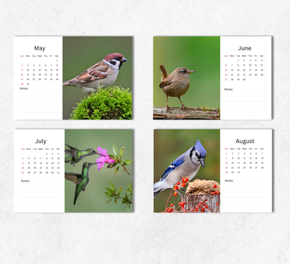 Garden Birds Desk Calendar 2027-2028