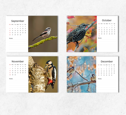 Garden Birds Desk Calendar 2027-2028