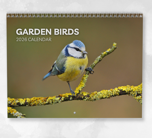 Garden Birds Calendar 2026