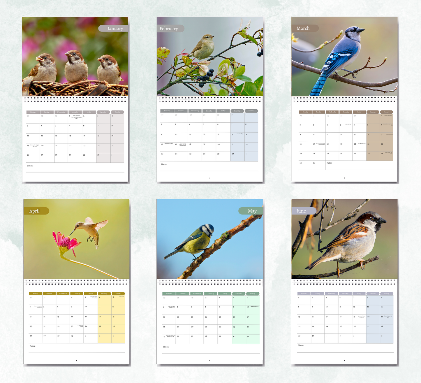 Garden Birds Calendar 2026