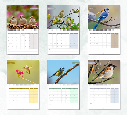 Garden Birds Calendar 2026