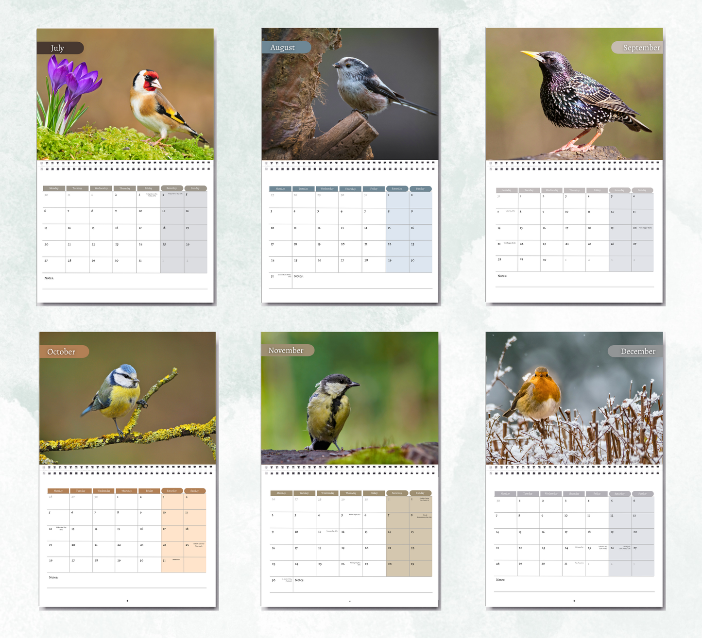 Garden Birds Calendar 2026