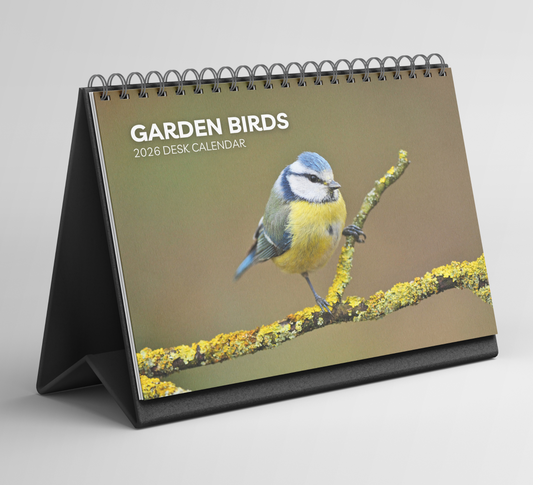 Garden Birds Desk Calendar 2026-2027