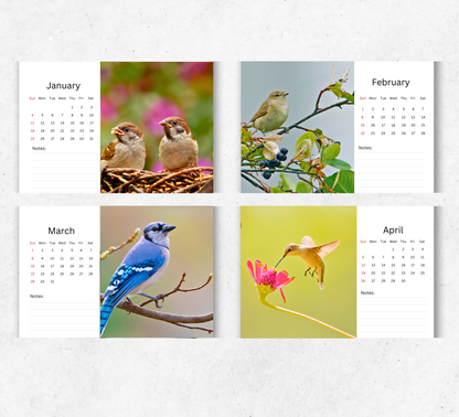 Garden Birds Desk Calendar 2026-2027