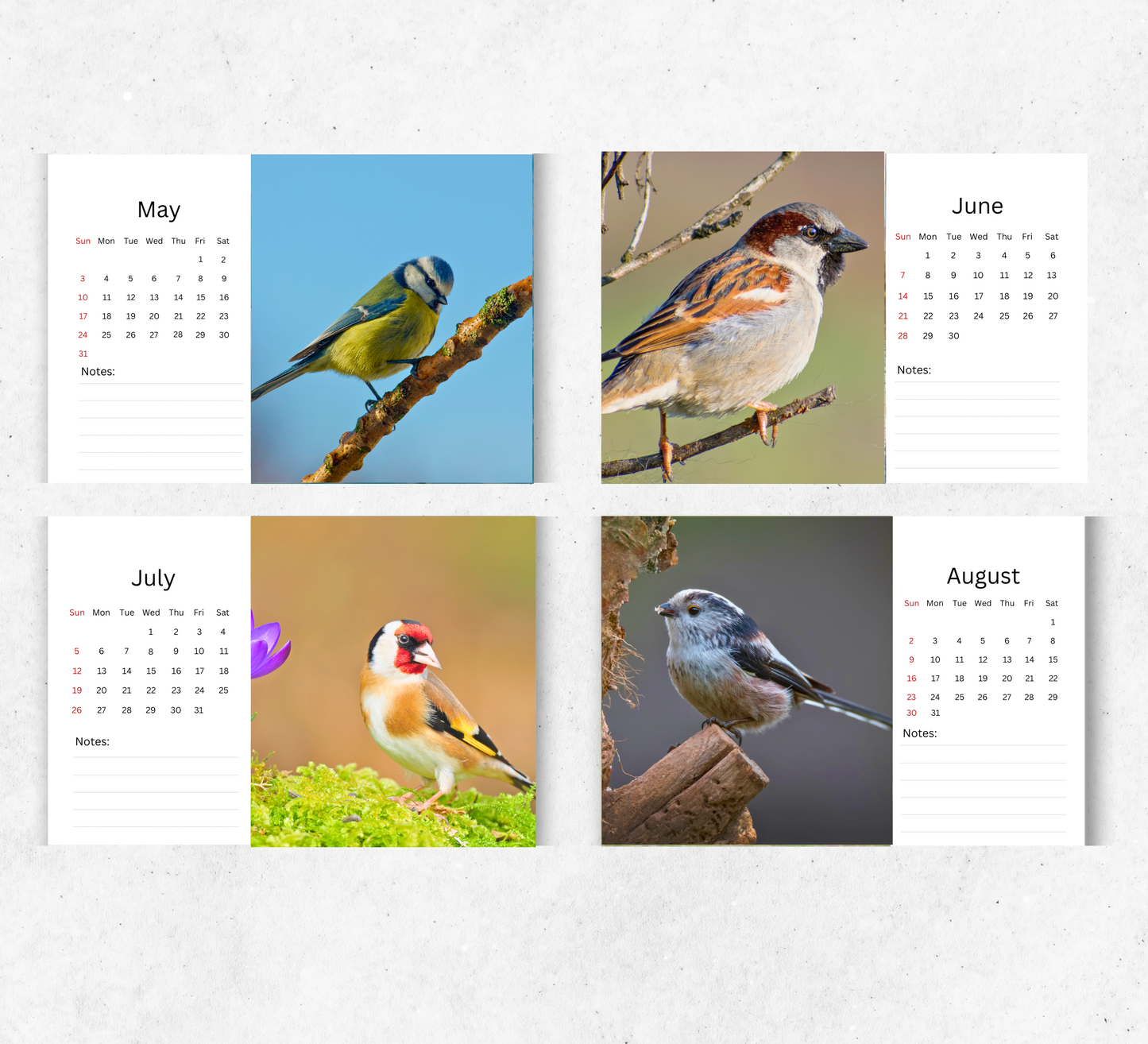 Garden Birds Desk Calendar 2026-2027