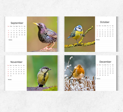 Garden Birds Desk Calendar 2026-2027