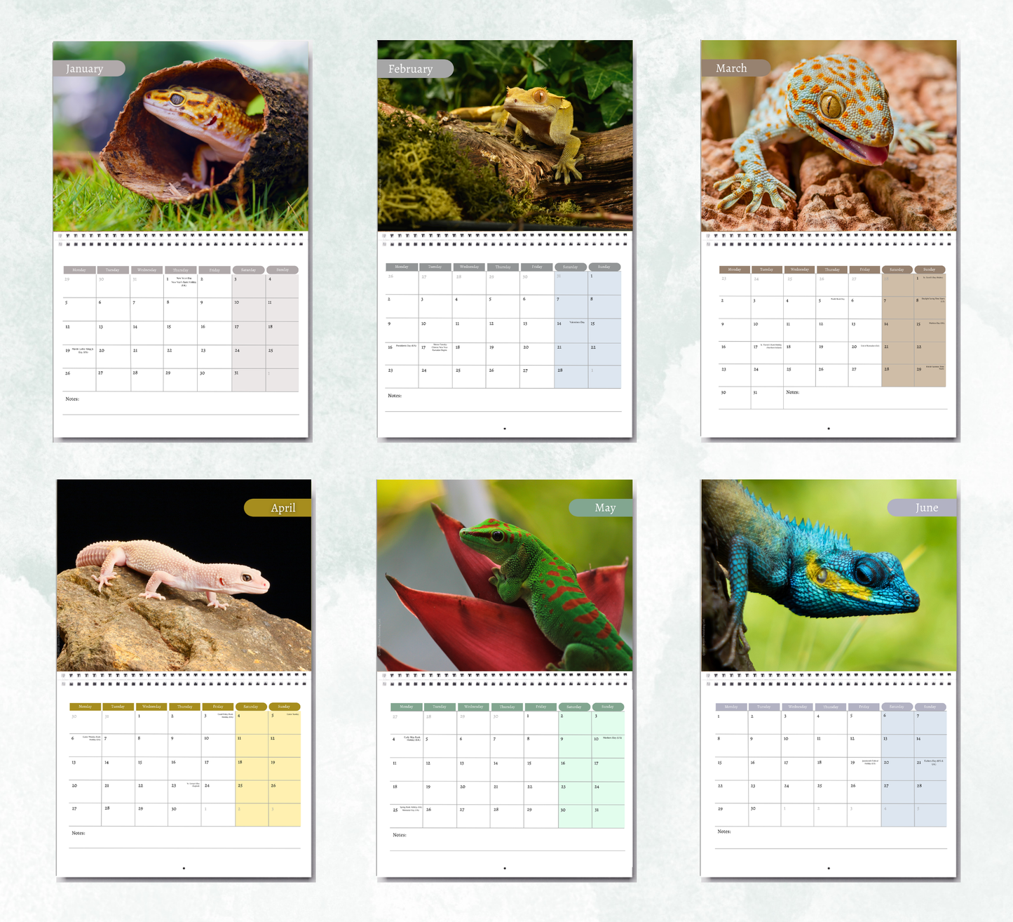 Gecko Calendar 2027