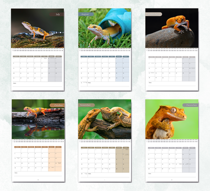 Gecko Calendar 2027