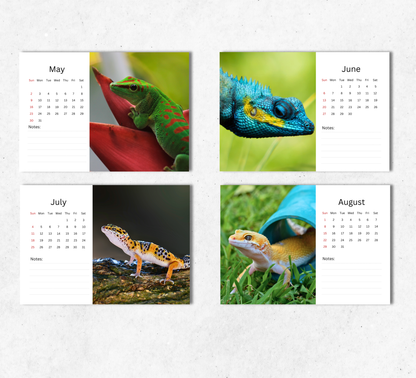 Gecko Desk Calendar 2027-2028