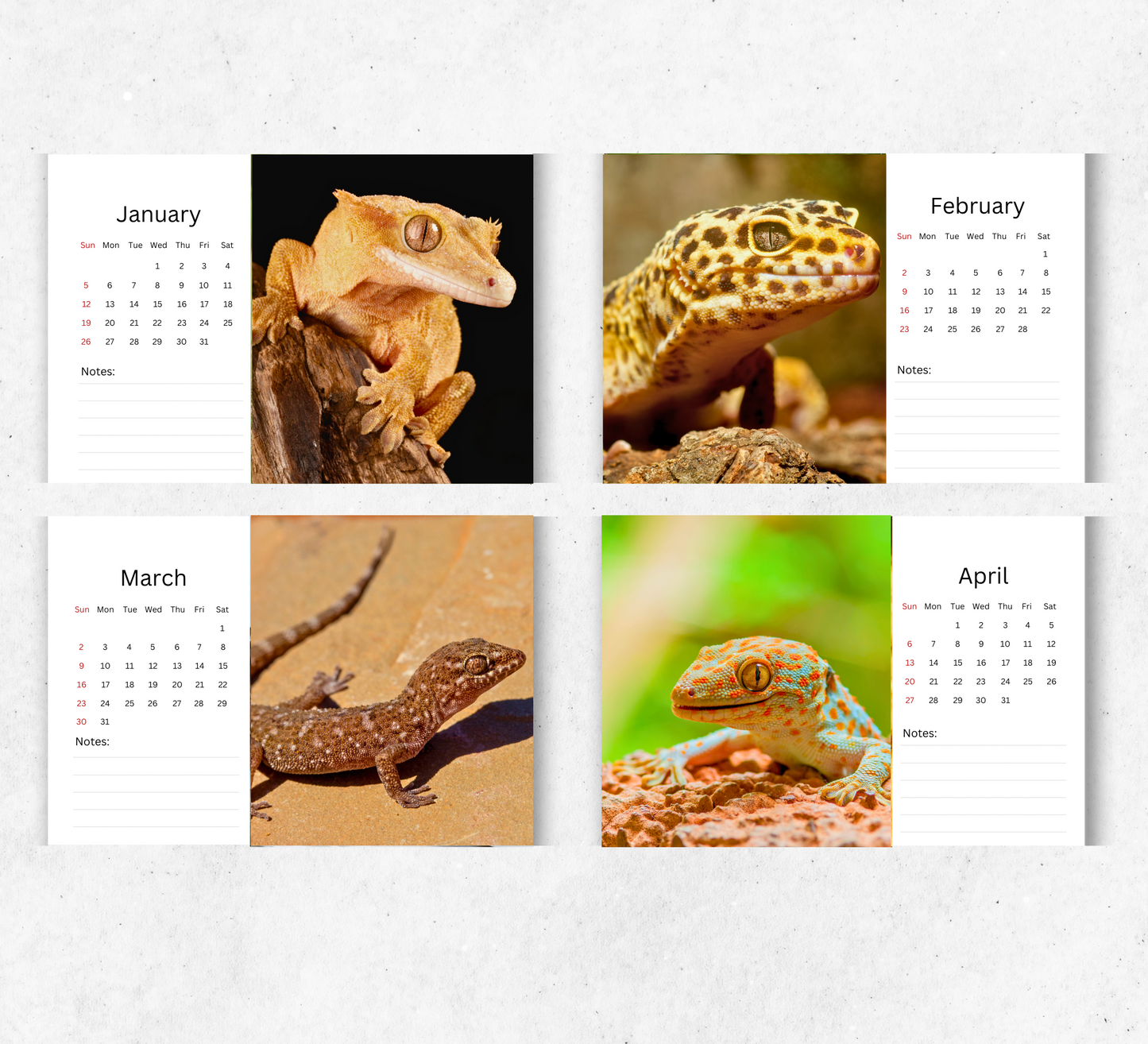 Gecko Desk Calendar 2026-2027