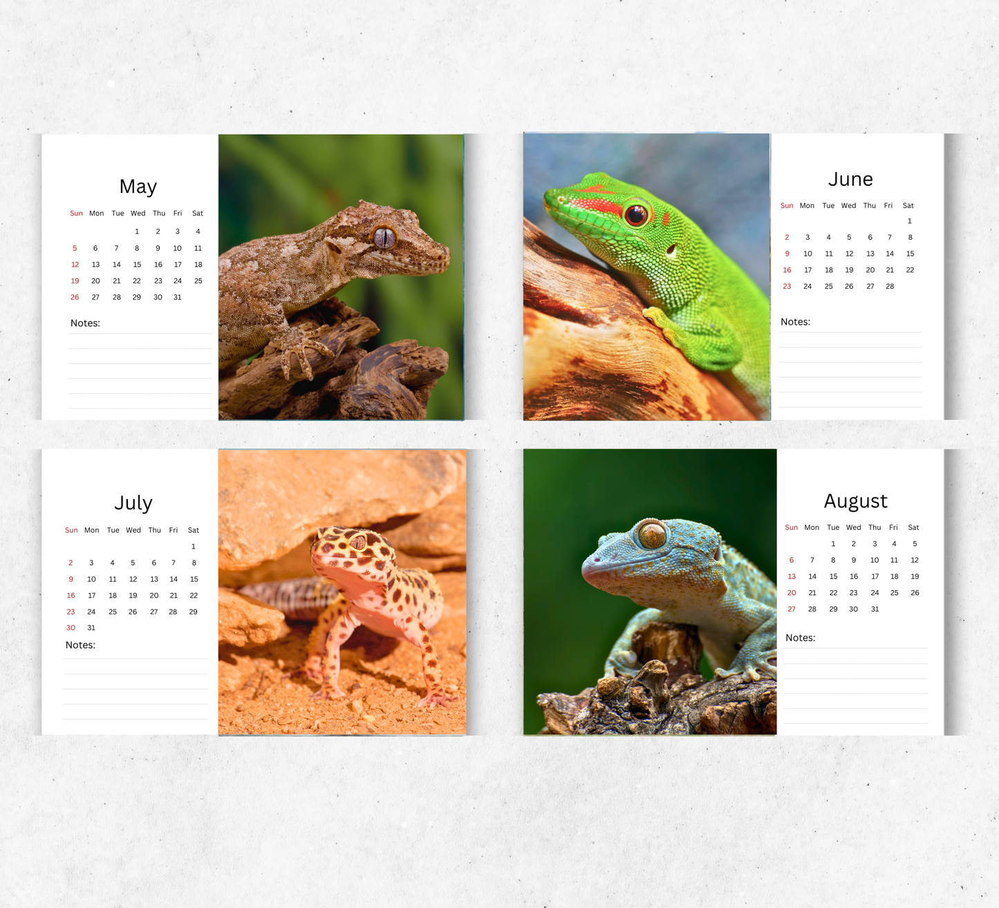 Gecko Desk Calendar 2026-2027